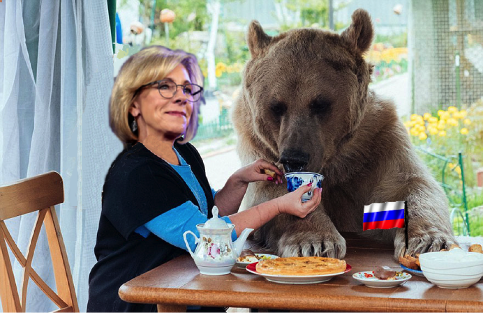 Bear.png