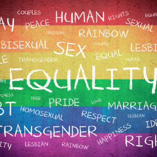 picture of rainbow flag with words relating to gender identity and sexual orientation